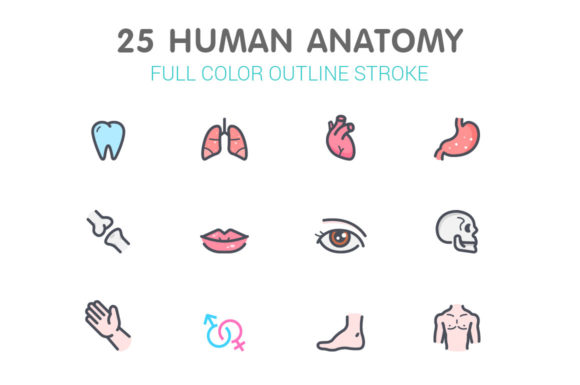 Human Anatomy Color Icon Graphics for Crafters