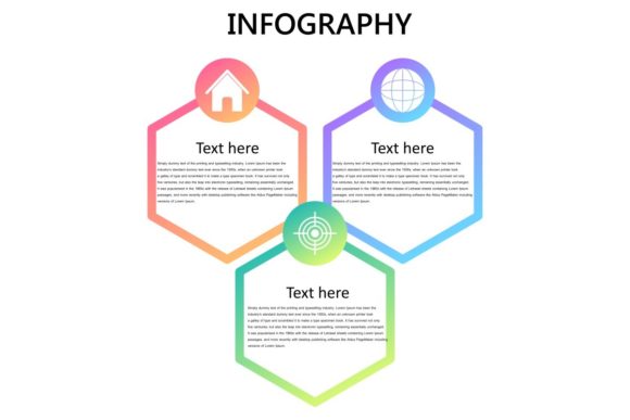 Vector Infographics Designs for Digital Creators